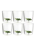 Lot de 6 verres Crocodile transparent - 93 mm