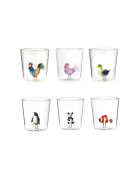 Lot de 6 verres Pet Friends Mix 6 transparent