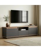 Sentinel TV-Ständer, 160 x 42 x 30 cm, Anthrazit/Atlantikkiefer