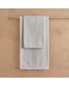 Lot de 2 serviettes éponges visage , invité en coton Elisa huître - 110x60 + 60x40 cm