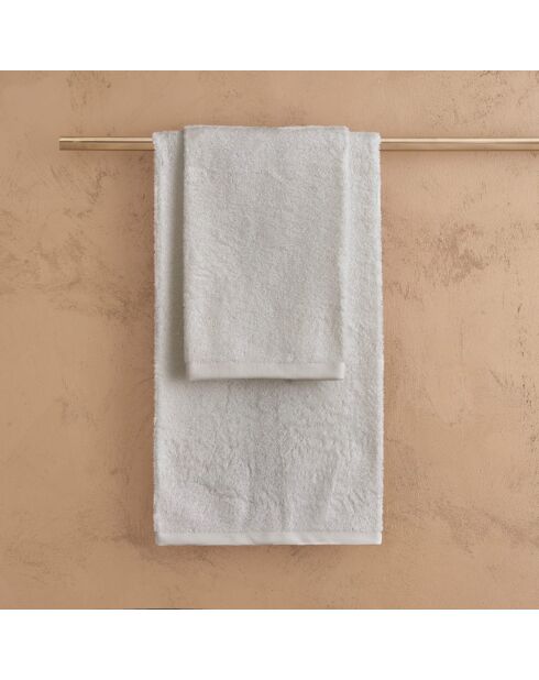 Lot de 2 serviettes éponges visage , invité en coton Elisa huître - 110x60 + 60x40 cm
