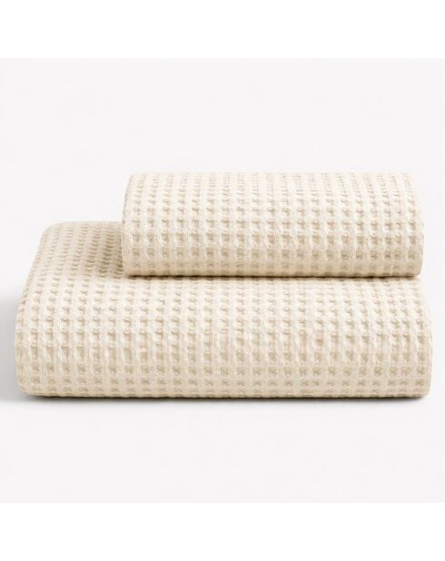 Lot de 2 serviettes éponges visage , invité en coton Milo ivoire - 110x60 + 60x40 cm