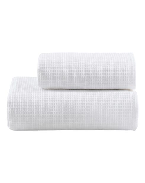 Lot de 2 serviettes éponges visage , invité en coton Alma blanches - 110x60 + 60x40 cm