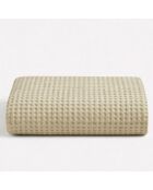 Asciugamano da doccia Milo Beach in cotone - 100x150 cm