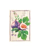 Strofinacci in lino Canovacci ficus - 50x80 cm