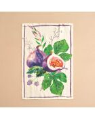 Strofinacci in lino Canovacci ficus - 50x80 cm