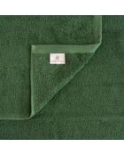 Set de 4 paños Elisa de algodón verdes - 30x30 cm