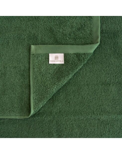Set de 4 paños Elisa de algodón verdes - 30x30 cm