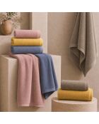 Set di 2 asciugamani per viso e ospiti Elisa Damar in cotone - 110x60 + 60x40 cm