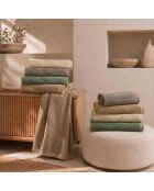 Set di 2 asciugamani per viso e ospiti Elisa wood in cotone - 110x60 + 60x40 cm