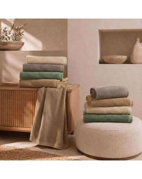 Set di 2 asciugamani per viso e ospiti Elisa wood in cotone - 110x60 + 60x40 cm