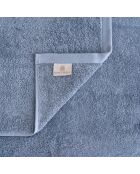 Lot de 2 serviettes éponges visage , invité en coton Elisa bleu ciel - 110x60 + 60x40 cm