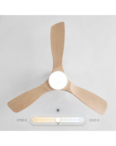 Ventilateur de plafond avec lumière bois clair