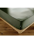Drap housse en percale de coton unie Perrine romarin