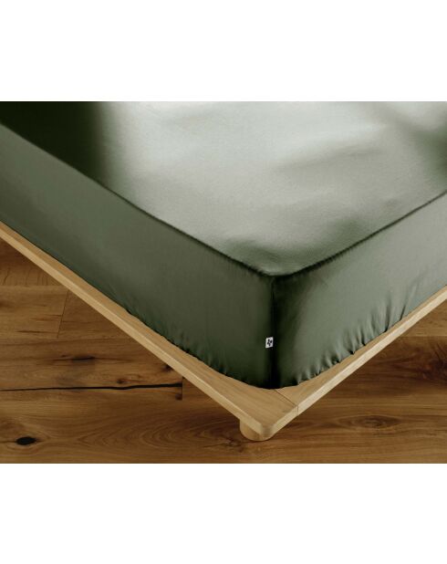 Drap housse en percale de coton unie Perrine romarin
