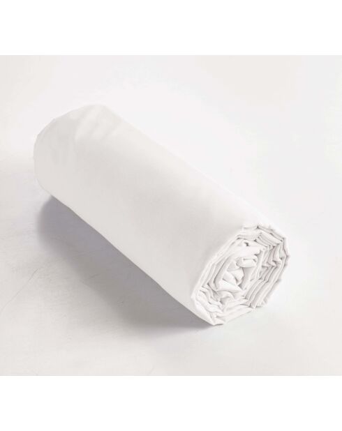Drap housse en percale de coton unie Perrine chantilly
