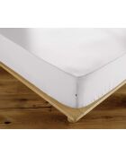 Drap housse en percale de coton unie Perrine chantilly