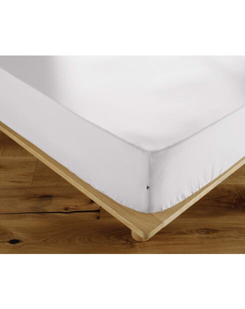 Drap housse en percale de coton unie Perrine chantilly