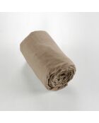Drap housse en coton flanelle unie Candice ficelle
