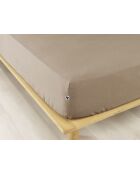 Drap housse en coton flanelle unie Candice ficelle