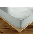 Drap housse en percale de coton unie Perrine céladon