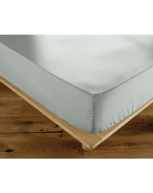 Drap housse en percale de coton unie Perrine céladon