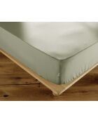Drap housse en percale de coton unie Perrine sauge