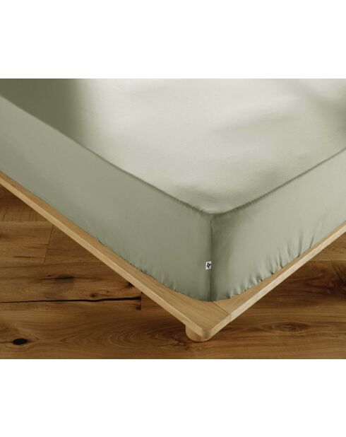 Drap housse en percale de coton unie Perrine sauge
