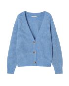 Pull en alpaga mélangé Adison bleu chiné