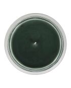 Bougie gourmande sous le sapin verte - 220 g