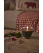 Bougie gourmande sous le sapin verte - 220 g