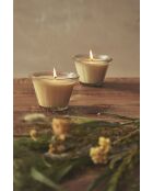 Bougie gourmande camomille crème - 220 g