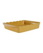 Plat à four broche Barbecue curry - 38 x 27 x 6cm