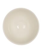 Bol pomme Collection rouge et vert - 75 cl