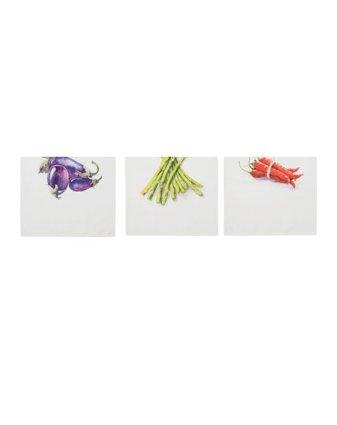 Lot de 5 torchons en coton Primeur multicolore - 50×70 cm