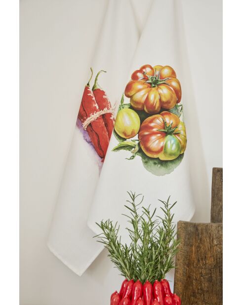Lot de 5 torchons en coton Primeur multicolore - 50×70 cm