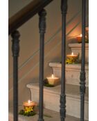 Bougie gourmande coing vanille orange ambré - 220 g