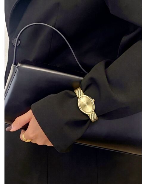 Montre femme analogique en acier inoxydable Gold Whisper dorée