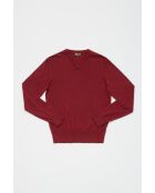 Jersey Raphaël de algodón cachemir rojo burdeos con cuello en V