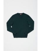 Pull col V en coton cashmere Alexis vert sapin