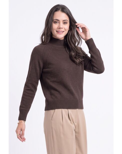 Jersey de lana Léa con cuello alto y mangas largas, café