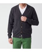 Gilet Noé col V manches longues loup