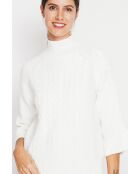 Jersey de cuello alto con cables naturales