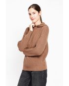 Felpa con cappuccio marrone