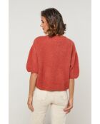 Pull en laine mélangée Willow brique