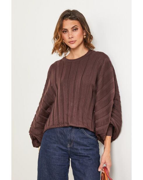 Pull Lotus chocolat