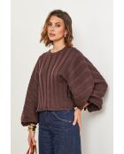 Jersey Lotus chocolate
