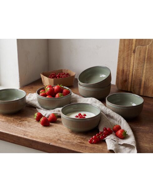 Set di 6 ciotole in terracotta verde foresta REED - 70 cl
