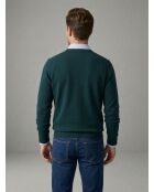 Pull col V en coton cashmere Alexis vert sapin