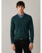 Pull col V en coton cashmere Alexis vert sapin